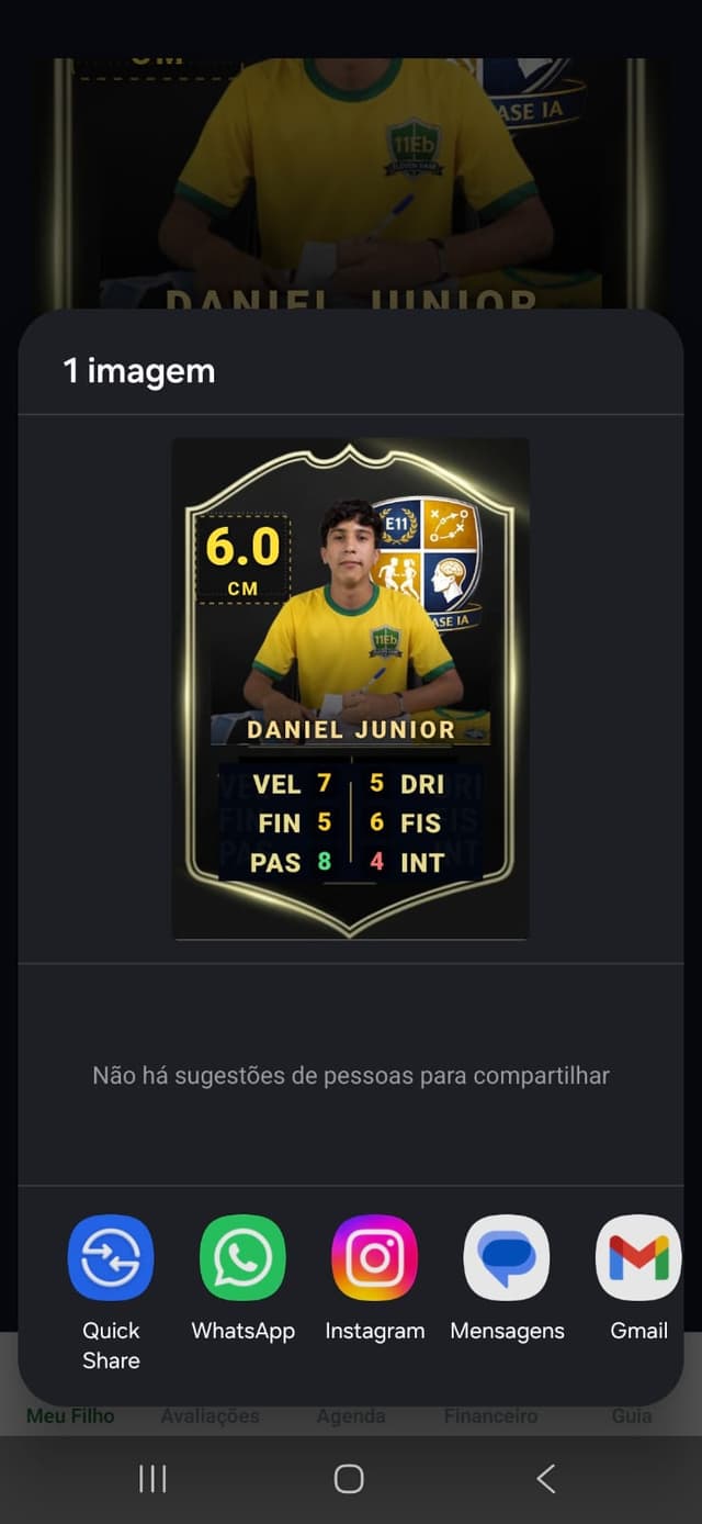 Compartilhar card FIFA no WhatsApp e Instagram